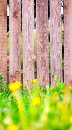 Fences